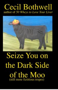 Front cover of Bothwell's latest short story collection.